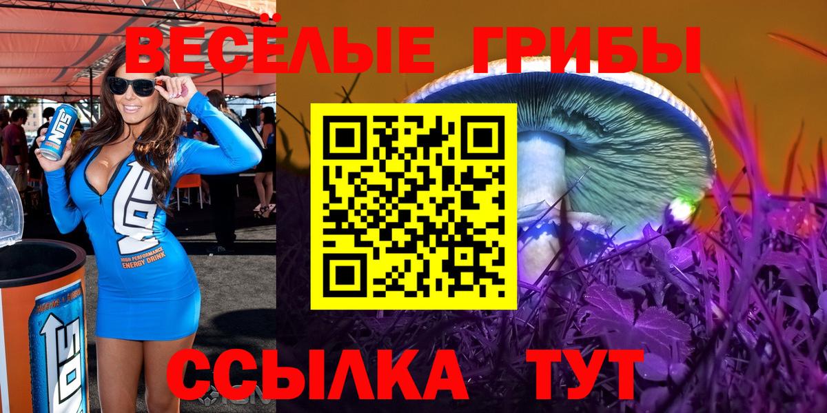 Псилоцибиновые грибы Magic Shrooms  Вход с VPN  Балтийск  Псилоцибиновые грибы MAGIC MUSHROOMS 