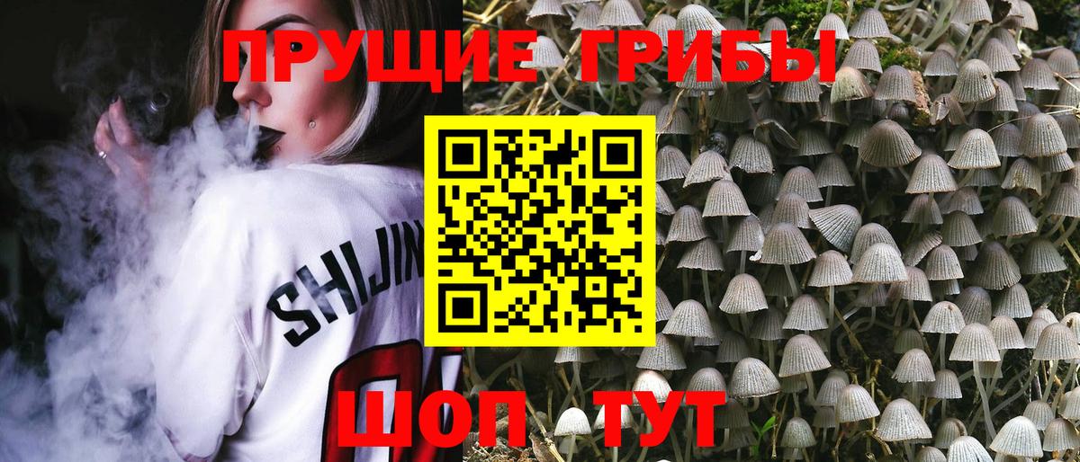 Псилоцибиновые грибы ЛСД Балтийск